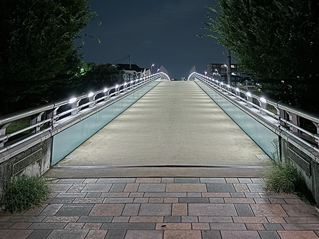 事例ー顧問税理士の欺きに対する民事訴訟【再審】で企業側敗訴のケース